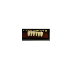 دندان مصنوعی ایده آل ماکو ست 6 تایی پایین
