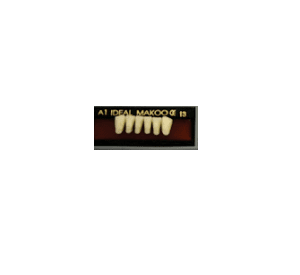 دندان مصنوعی ایده آل ماکو (ست 6 تایی پایین)
