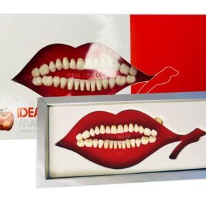 دندان مصنوعی ایده آل لاین IDEA line ایده آل ماکو
